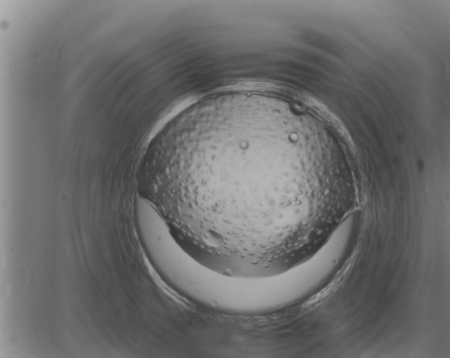 X0000083621425200703121617