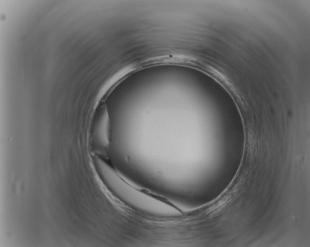 X0000083621426200703121617