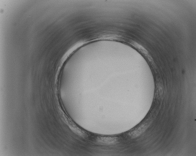 X0000083621427200703121617