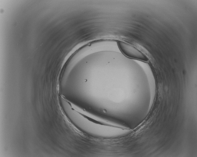 X0000083621428200703121617