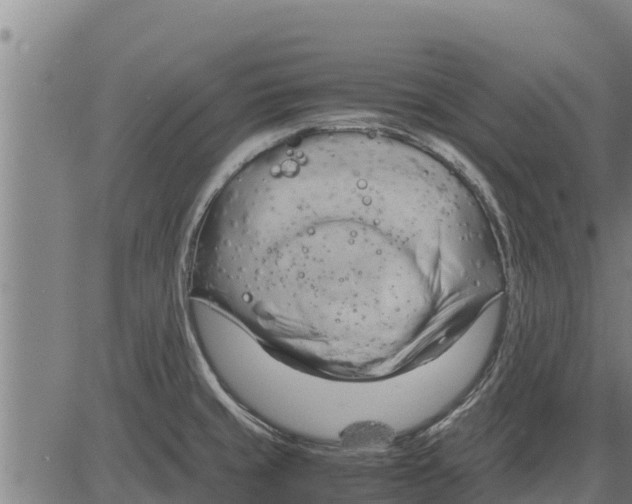 X0000083621429200703121617