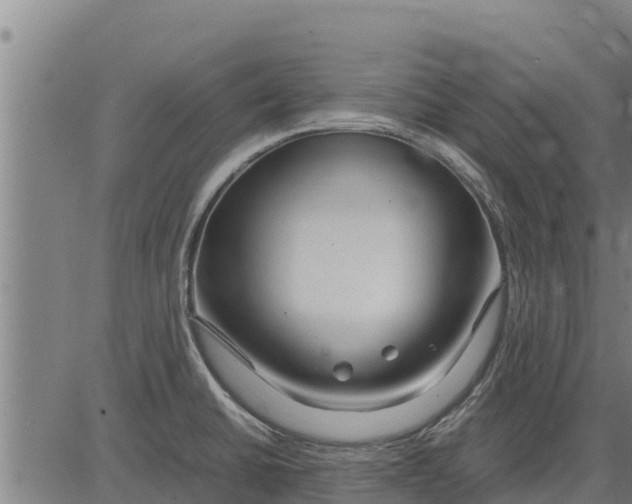 X0000083621430200703121617