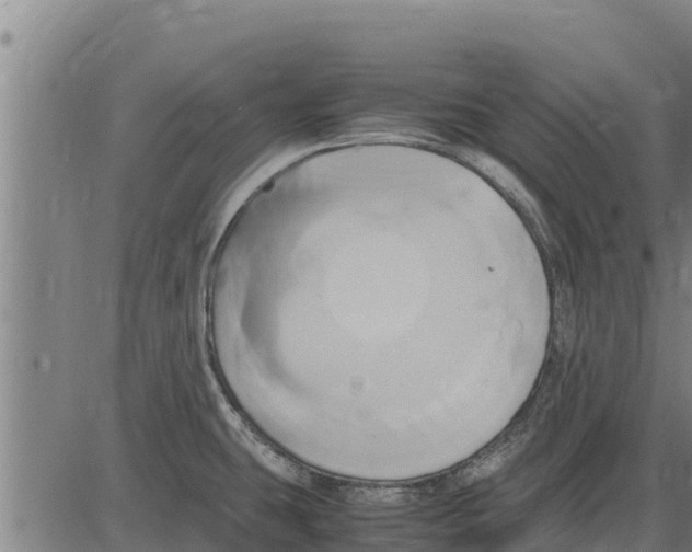 X0000083621431200703121617