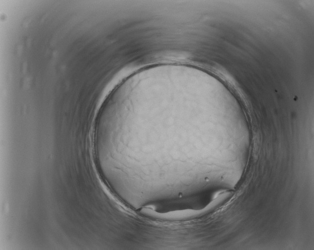 X0000083621432200703121617