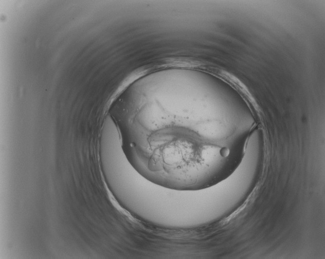 X0000083621433200703121617