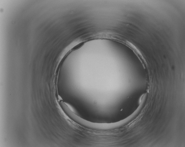 X0000083621434200703121617