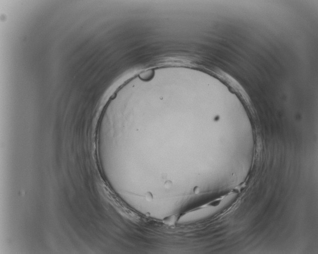 X0000083621435200703121617