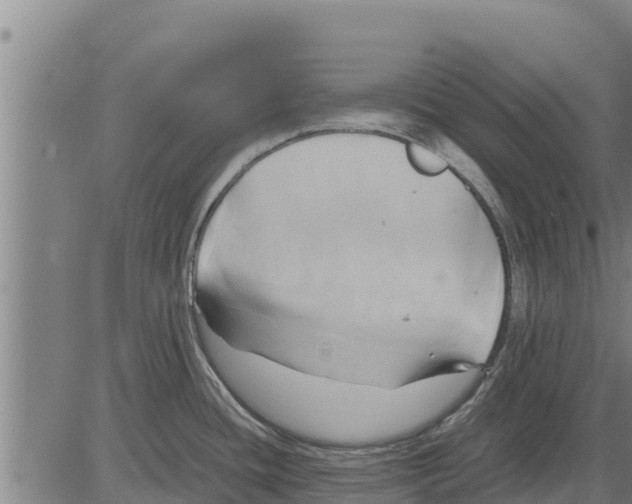 X0000083621436200703121617