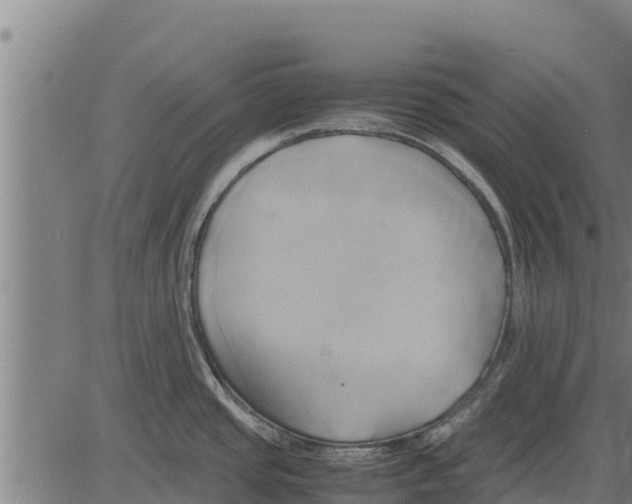 X0000083621437200703121617