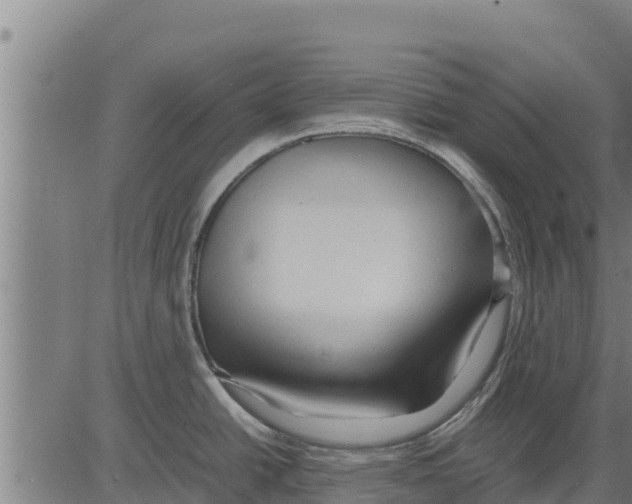 X0000083621438200703121617