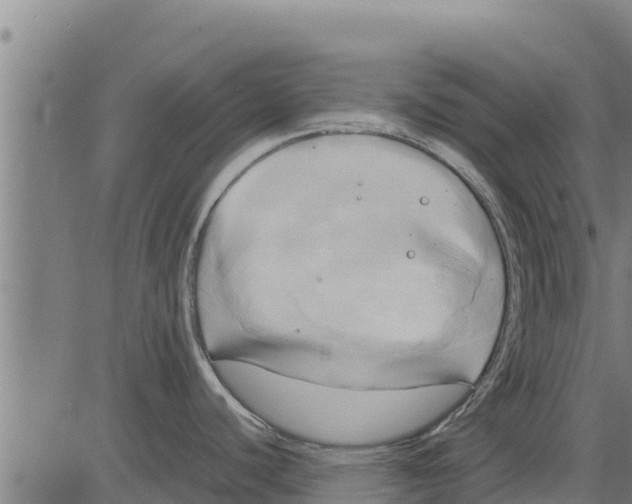 X0000083621440200703121617