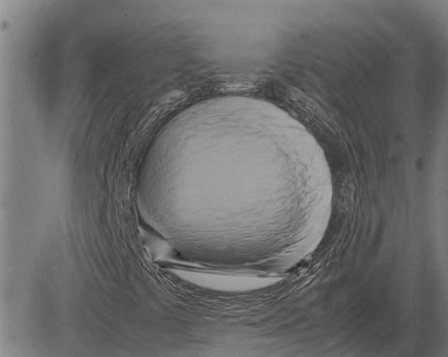 X0000083621441200703121616