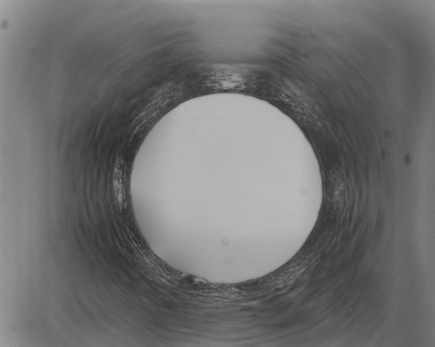 X0000083621442200703121616