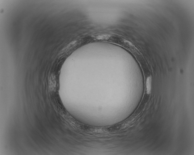 X0000083621443200703121616