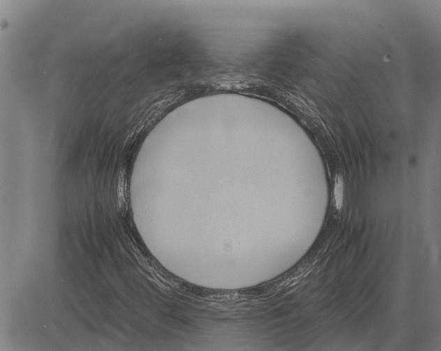 X0000083621444200703121616