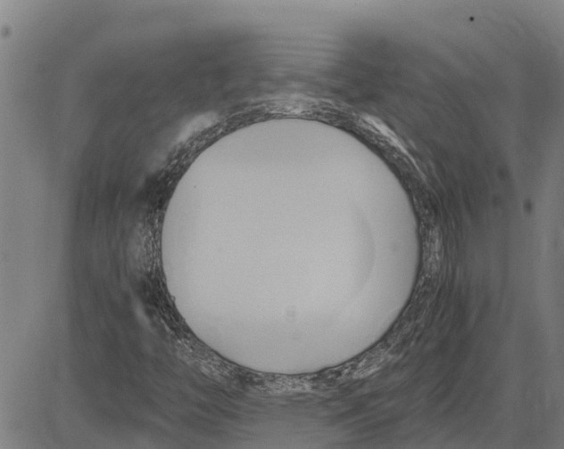 X0000083621446200703121616