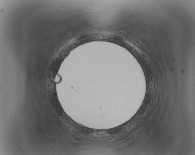 X0000083621447200703121616