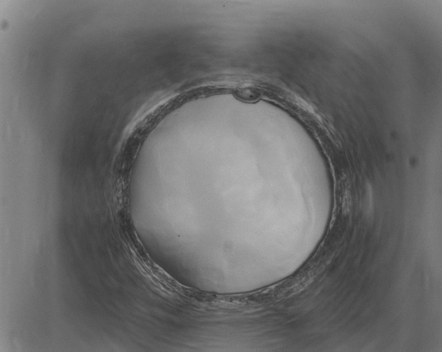 X0000083621448200703121616