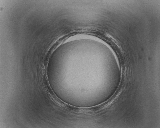 X0000083621449200703121616