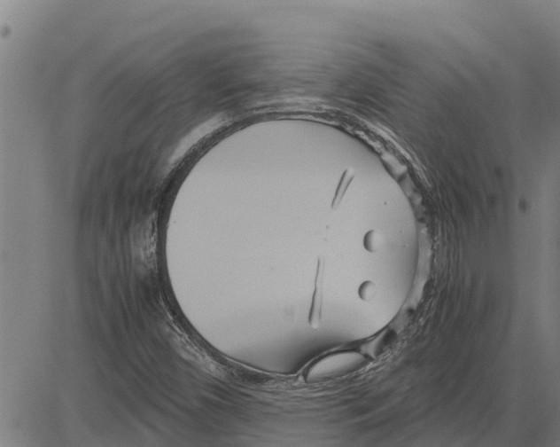 X0000083621450200703121616