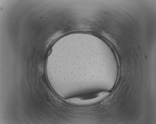 X0000083621451200703121616