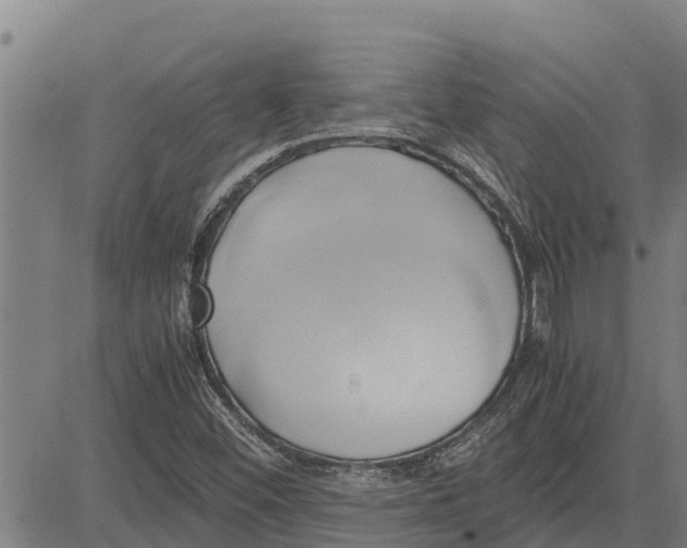 X0000083621452200703121616