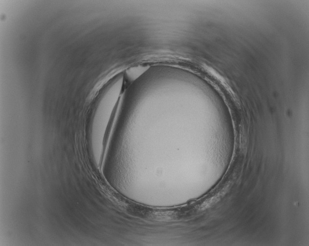 X0000083621453200703121616