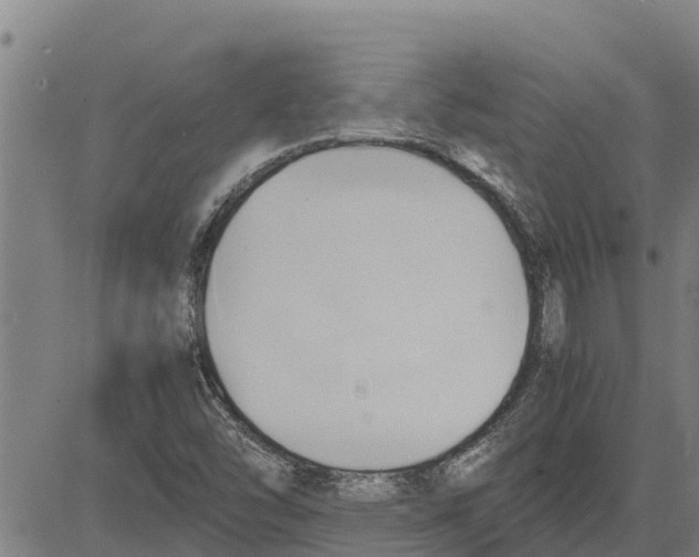 X0000083621454200703121616