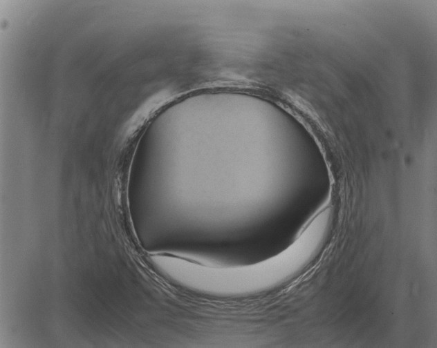 X0000083621455200703121616