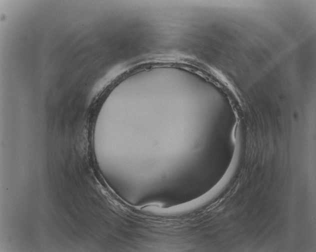 X0000083621456200703121616