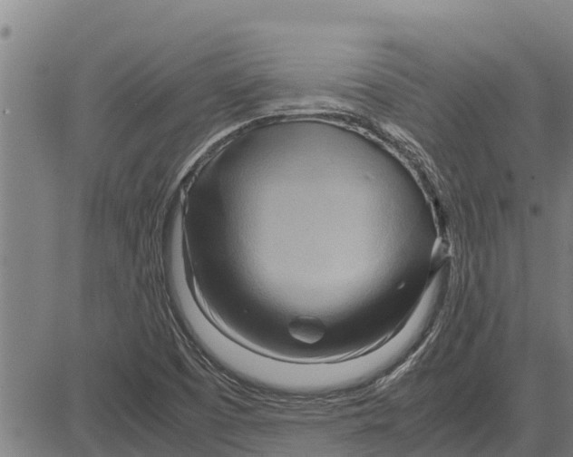 X0000083621457200703121616