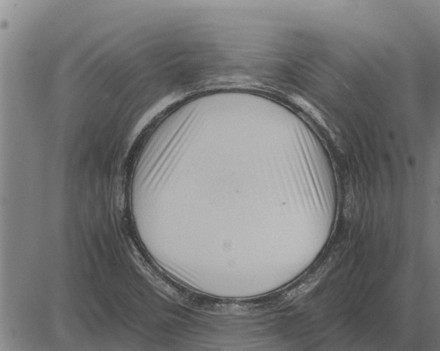 X0000083621458200703121616