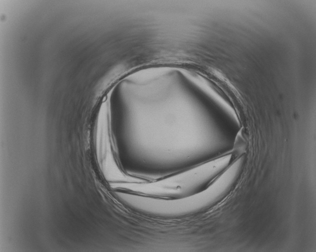 X0000083621459200703121616