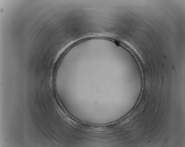 X0000083621460200703121616