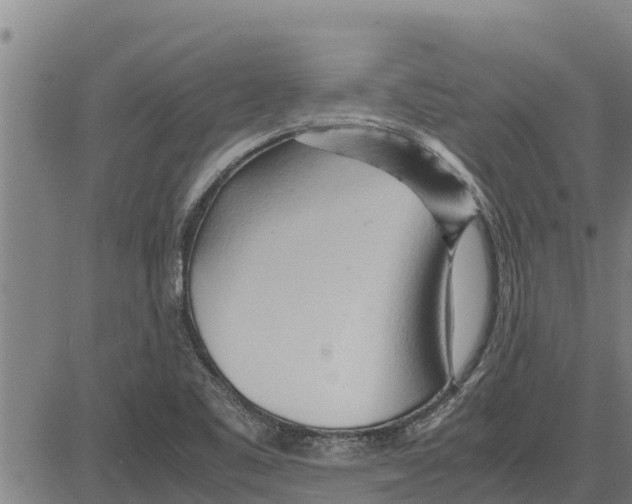 X0000083621461200703121616