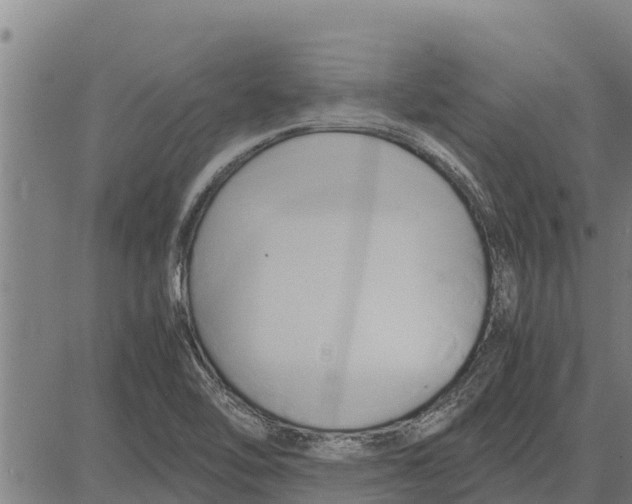 X0000083621462200703121616