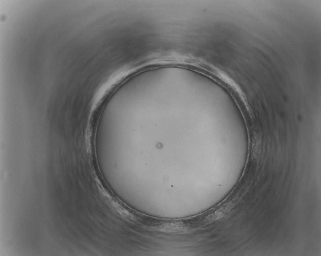 X0000083621464200703121616