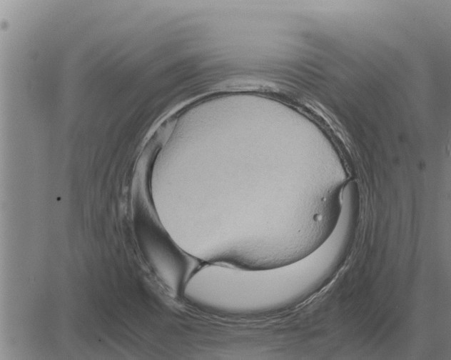 X0000083621465200703121616