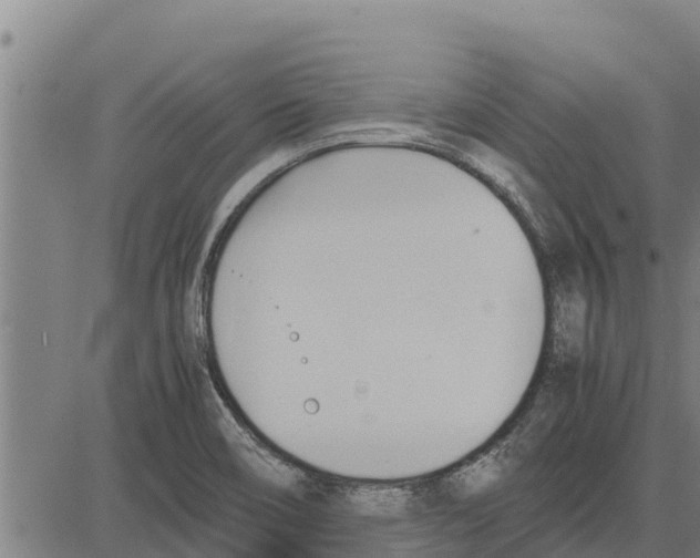 X0000083621466200703121616