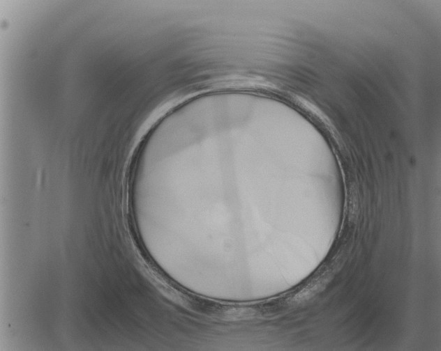 X0000083621467200703121616