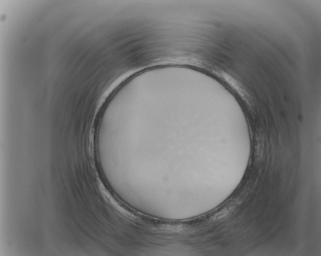 X0000083621468200703121616