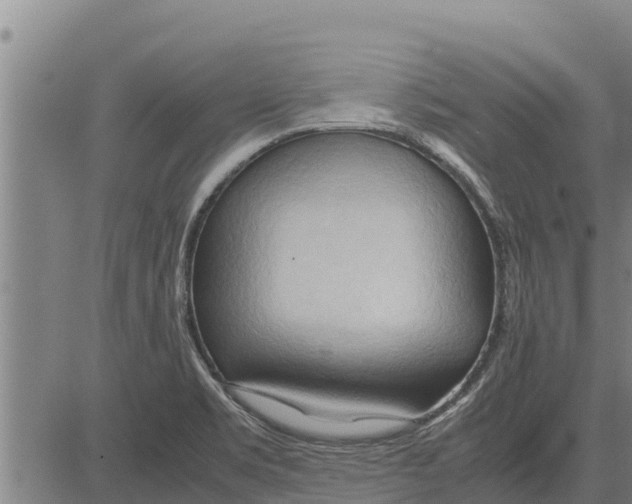 X0000083621469200703121616