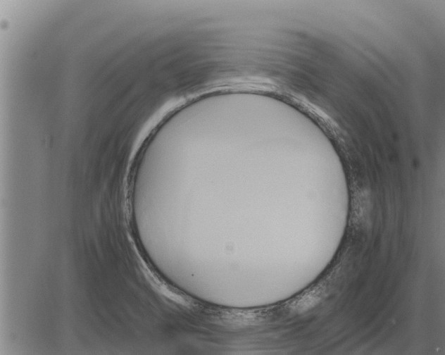 X0000083621470200703121616