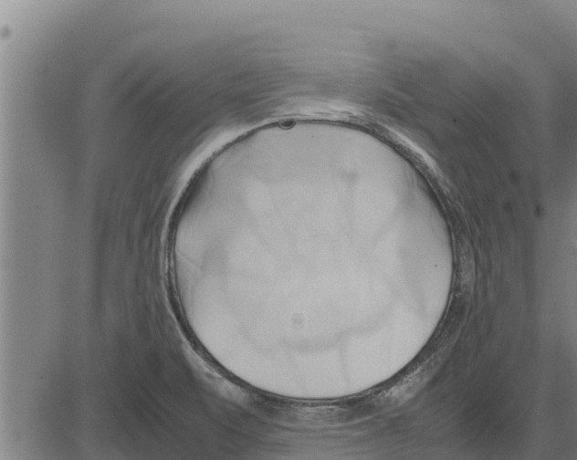 X0000083621471200703121616