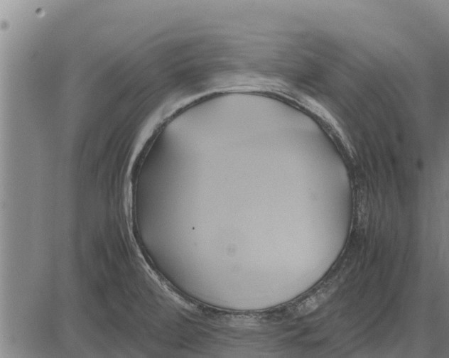 X0000083621472200703121616