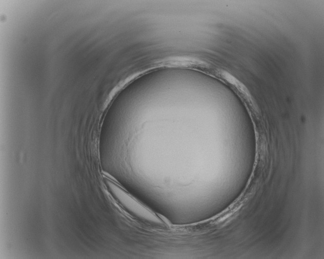 X0000083621473200703121616