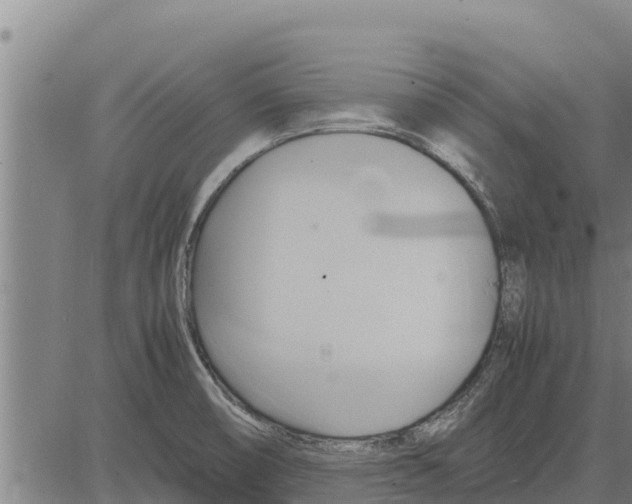 X0000083621474200703121615