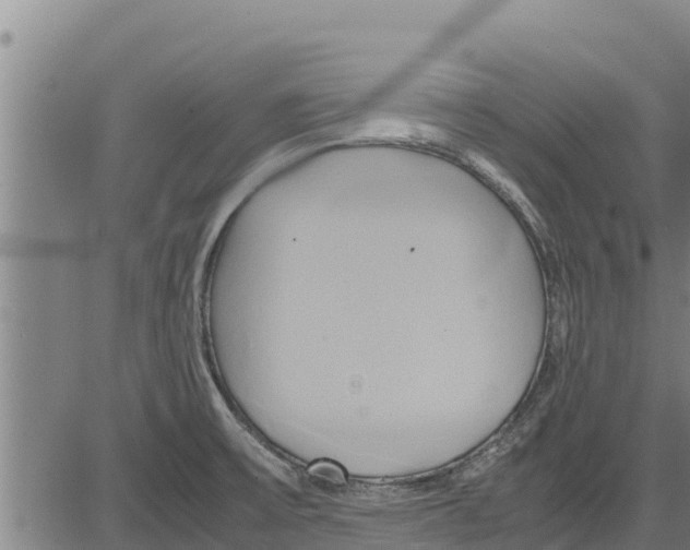 X0000083621475200703121615