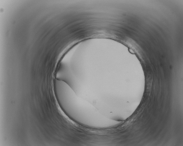 X0000083621476200703121615