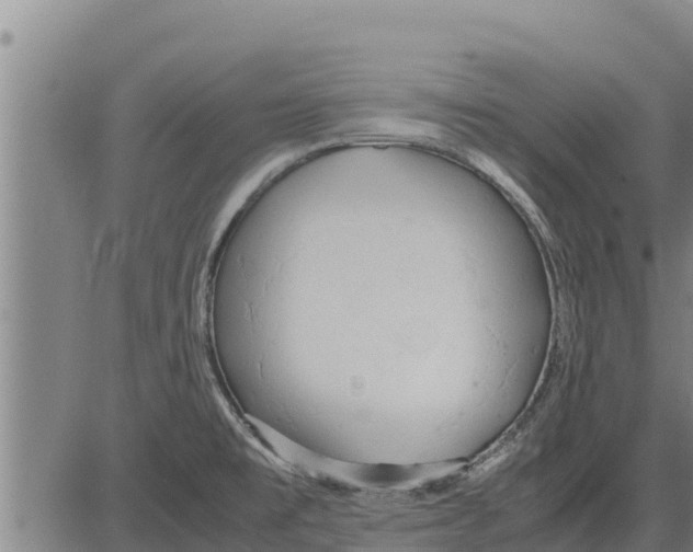 X0000083621477200703121615